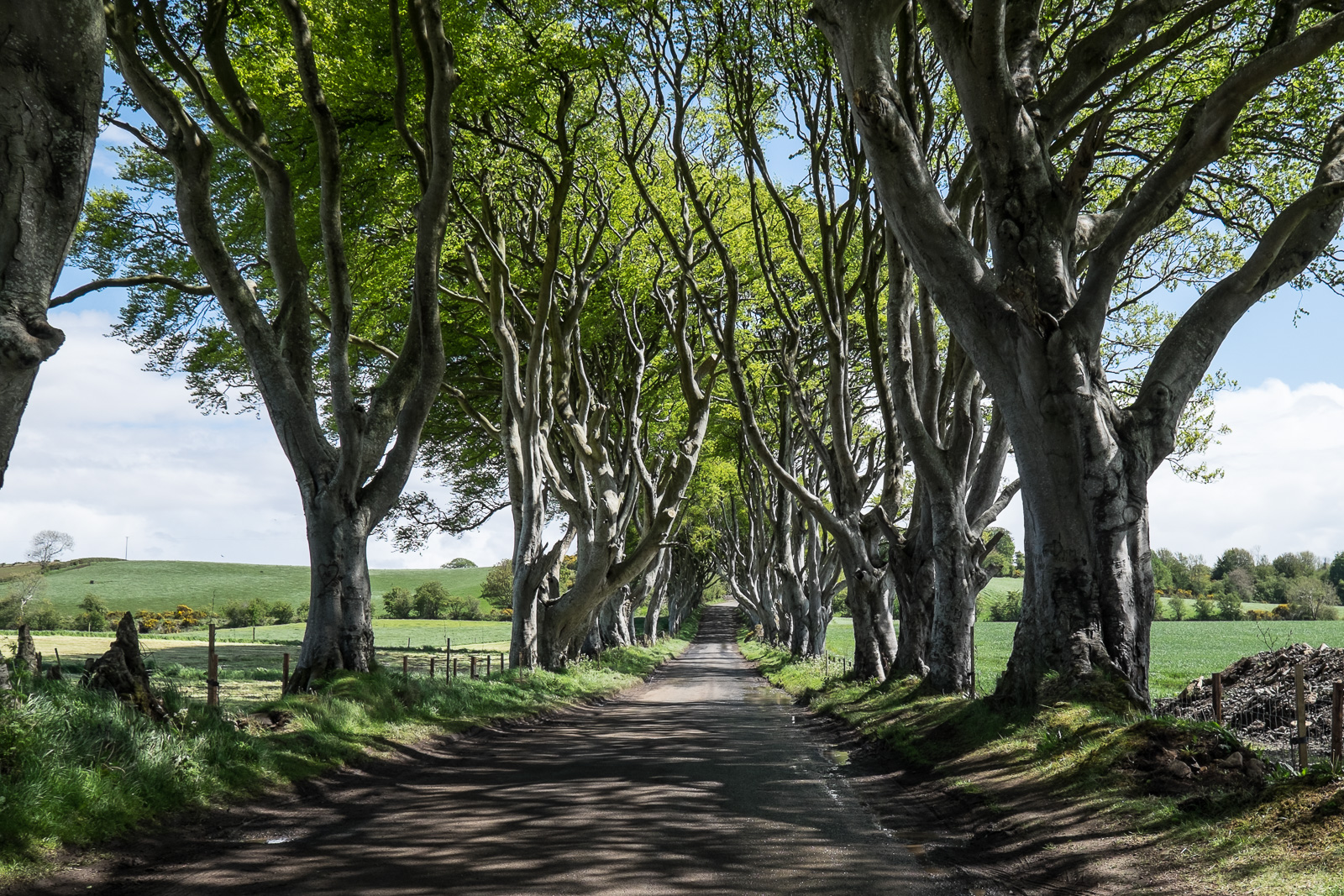 Irlanda