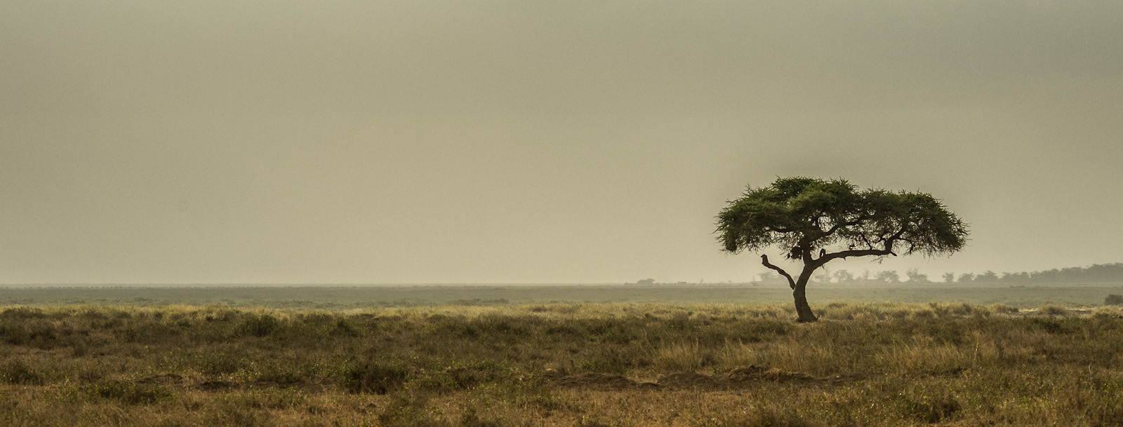 Kenya