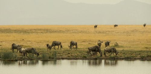 Kenya