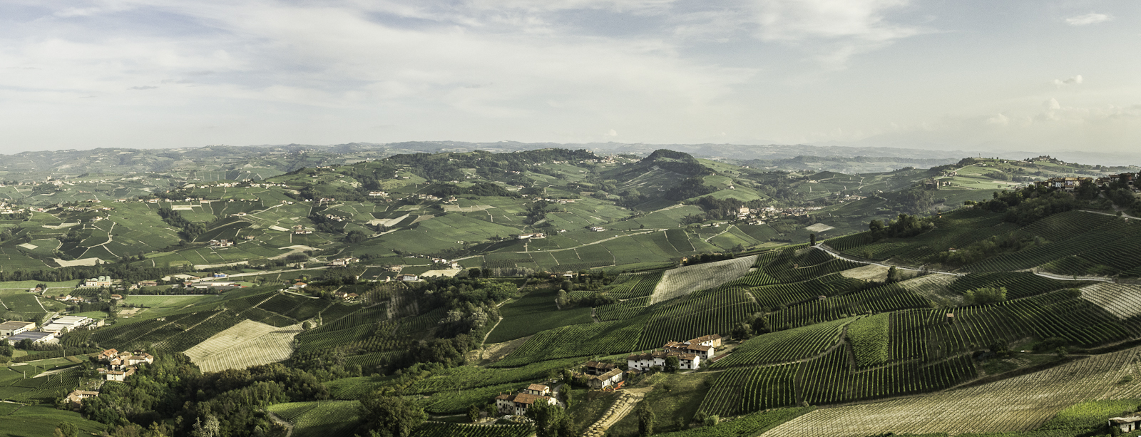 Langhe