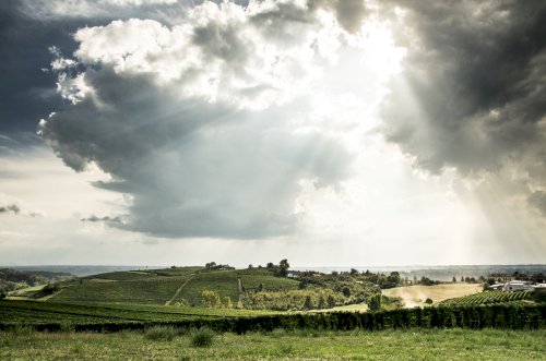 Langhe