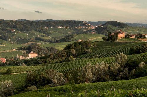 Langhe