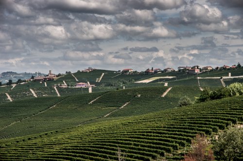Langhe