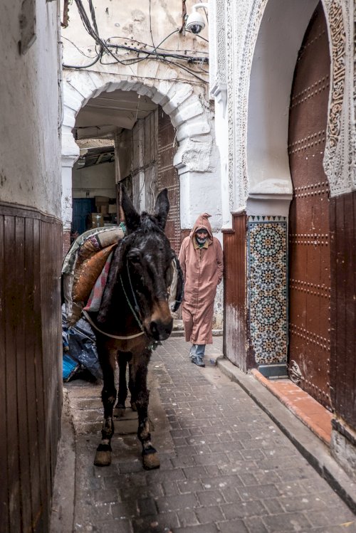 Marocco