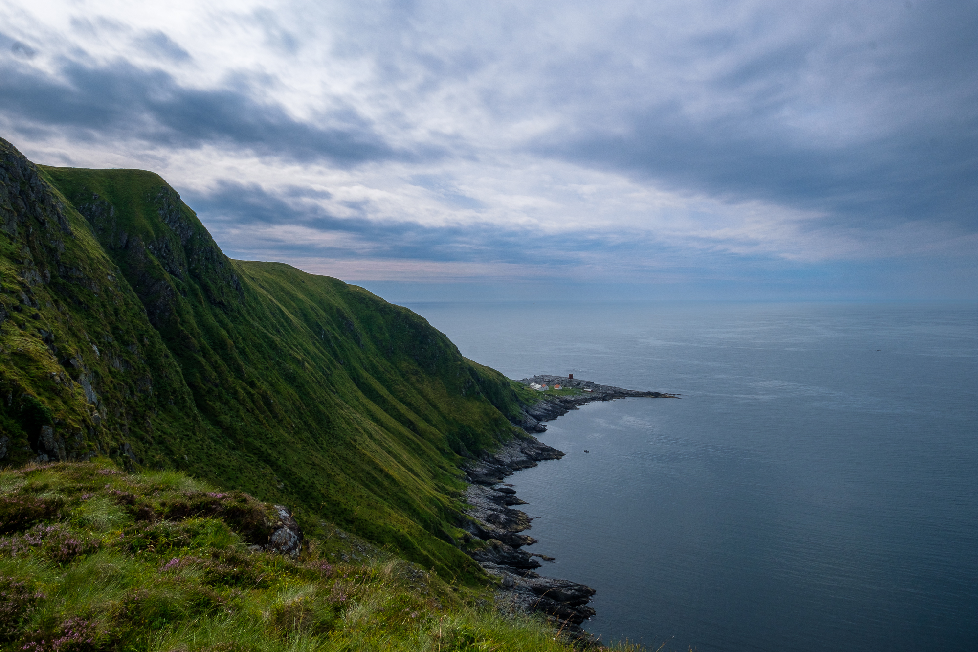 Norvegia