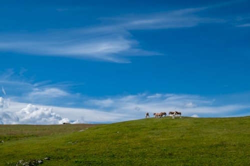 Sud Tirolo