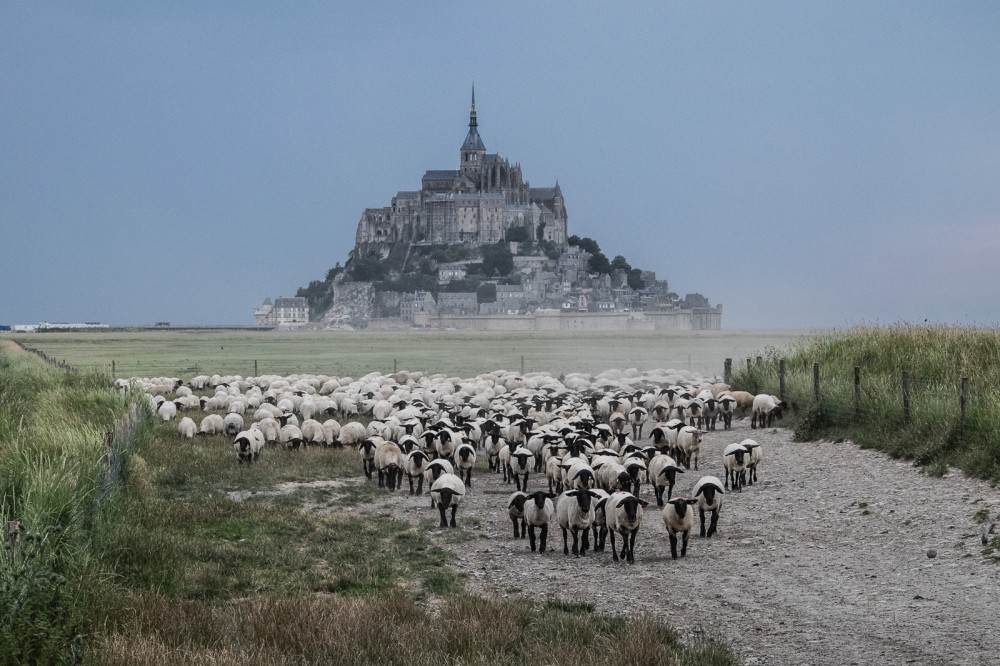 Francia
