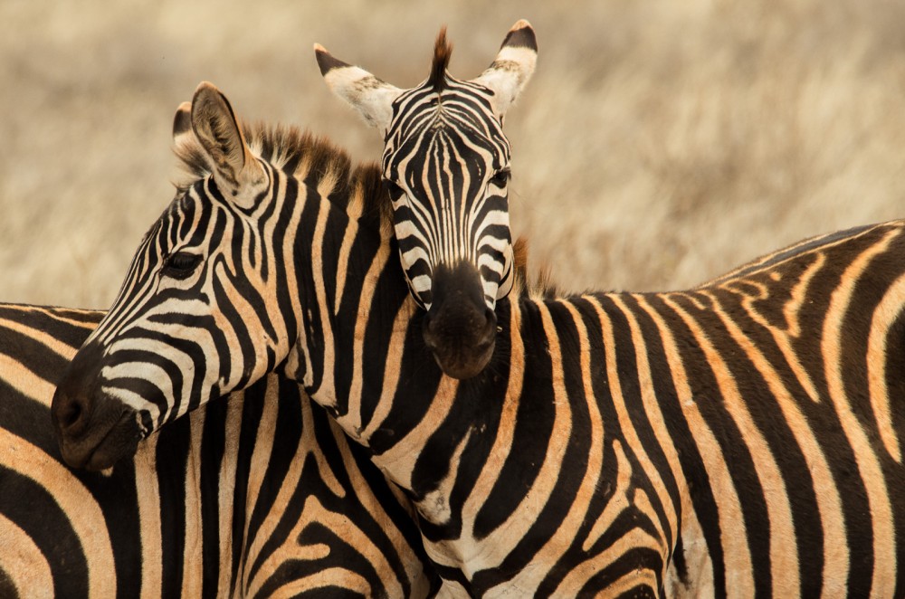 Kenya