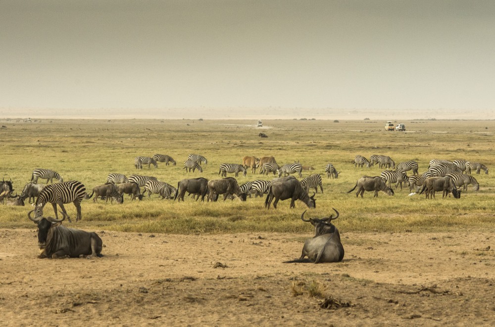 Kenya