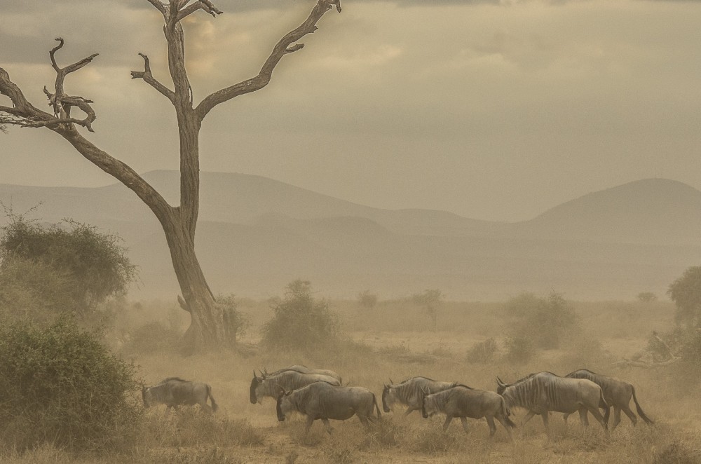 Kenya