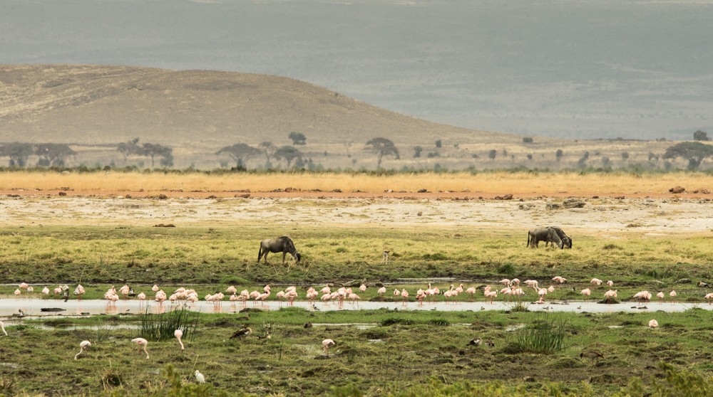Kenya