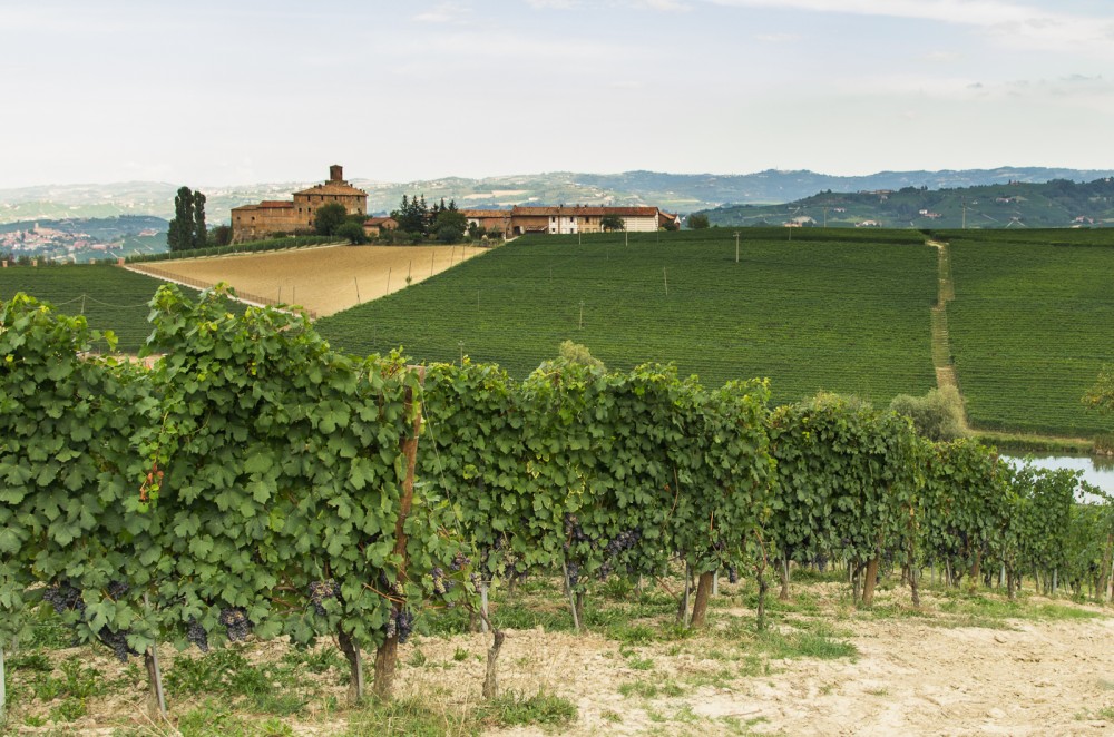 Langhe