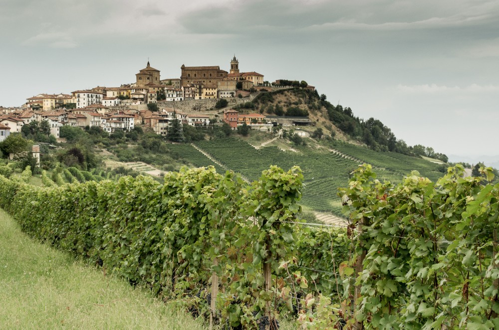 Langhe