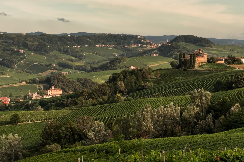 Langhe