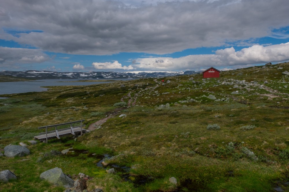 Norvegia