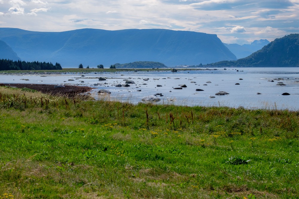 Norvegia