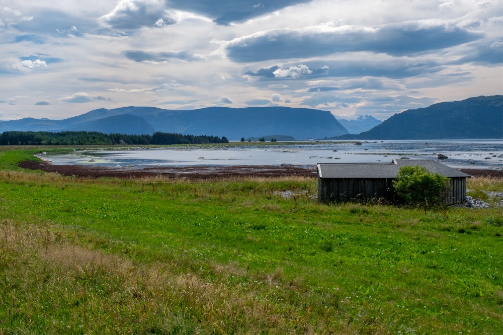 Norvegia