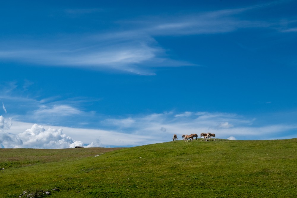 Sud Tirolo