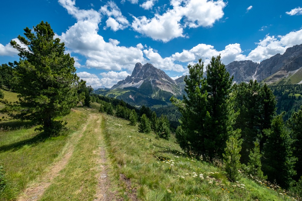 Sud Tirolo